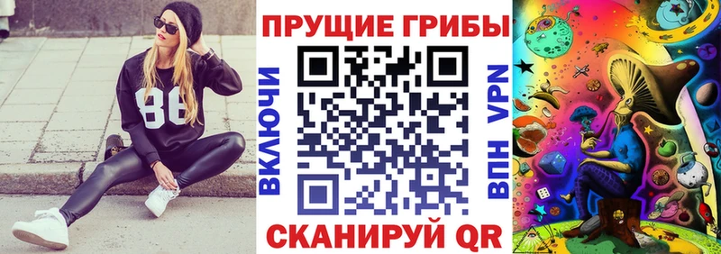 Псилоцибиновые грибы мицелий  Купить закладки  Звенигово 